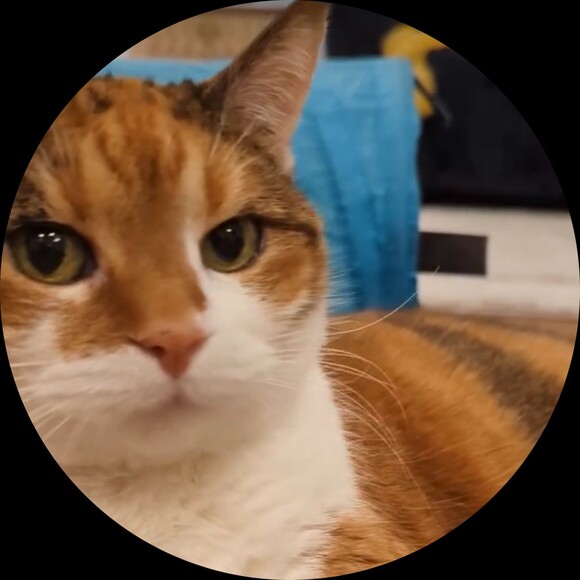 nolagirlie